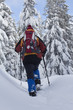 Schneeschuhwanderin im Hochschwarzwald