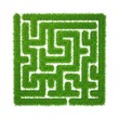 green grass maze