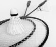two shuttlecock lies on the racket of badminton of monochrome
