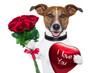 valentine dog