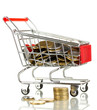 Money in cart isolated on white