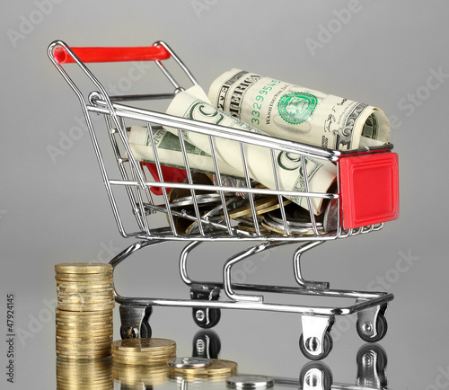 Photo: Money in cart on grey background Money in cart on grey background