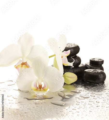 Photo: Spa stones and orchid flowers, isolated on white. Spa stones and orchid flowers, isolated on white.