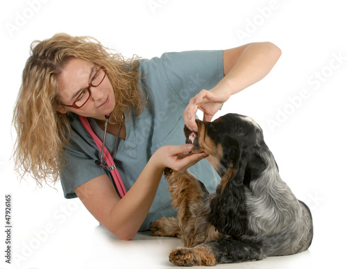 Photo: veterinary care veterinary care