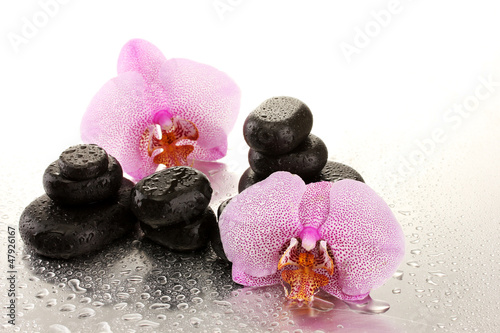Photo: Spa stones and orchid flowers, on wet background. Spa stones and orchid flowers, on wet background.