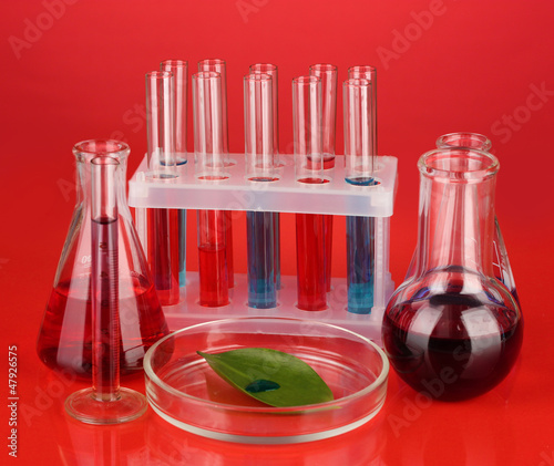 Photo: Test-tubes and green leaf tested in petri dish, Test-tubes and green leaf tested in petri dish,