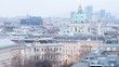 Domes of Karlskirche Church extend upward above city landscape