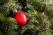 Christmas ornament is on the treet