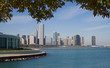 Shedd Aquarium And Chicago Skyline
