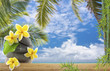 décor exotique vacances détente