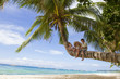 three children - boy and girls - sitting on palm tree on tropica