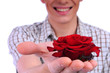 young boy with a flower in your hand