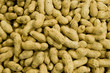 Closeup tasty peanuts as a background