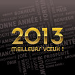 2013 meilleurs voeux !