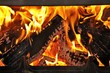 Burning wood in the fireplace