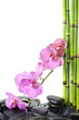 Photo: spa concept-branch pink orchid and bamboo stem on zen pebble spa concept-branch pink orchid and bamboo stem on zen pebble