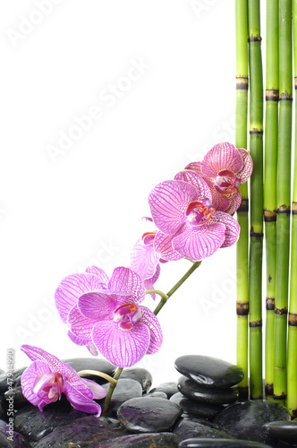 Photo: spa concept-branch pink orchid and bamboo stem on zen pebble spa concept-branch pink orchid and bamboo stem on zen pebble