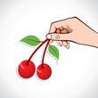 Cherry in hand stock vector