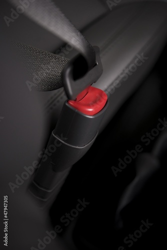 Photo: Seat Belt Seat Belt