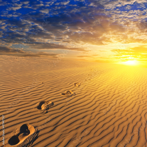 Photo: evening sandy desert evening sandy desert