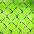 Photo: Wire Mesh Fence Close-Up on Green Background Wire Mesh Fence Close-Up on Green Background