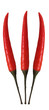 Fresh 3 red cayenne chili pepper isolated on white background