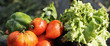 some wet vegetables