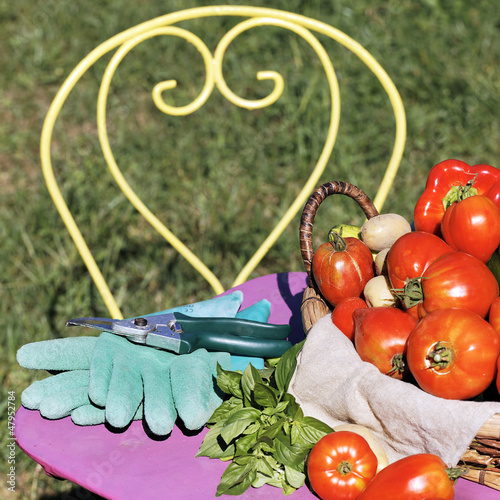 Photo: garden vegetables garden vegetables