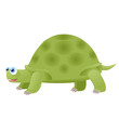 tartaruga verde