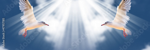 Photo: Sea birds on blue sky with sunburst Sea birds on blue sky with sunburst