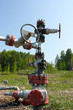 Oil valve of an oil well mouth