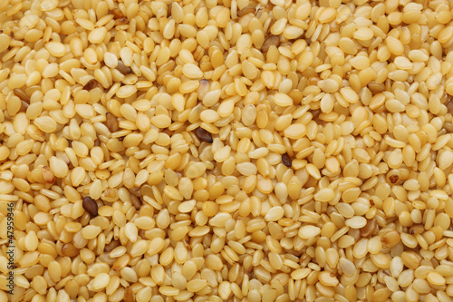 Photo: Sesame Seed Sesame Seed