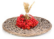 red berries of viburnum on wicker mat isolated on white