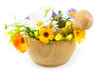 Fresh flowers in mortar isolated on white background