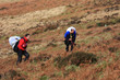 paragliders walking up hill