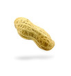 Peanut
