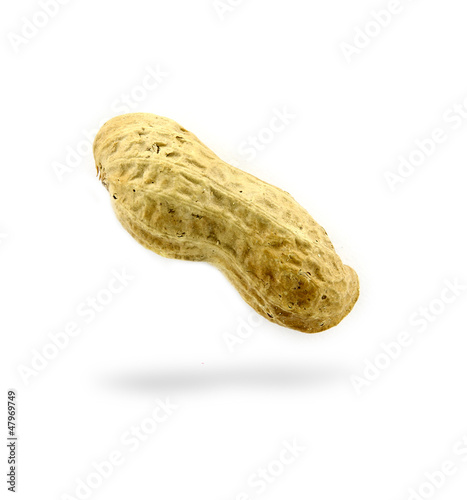 Photo: Peanut Peanut