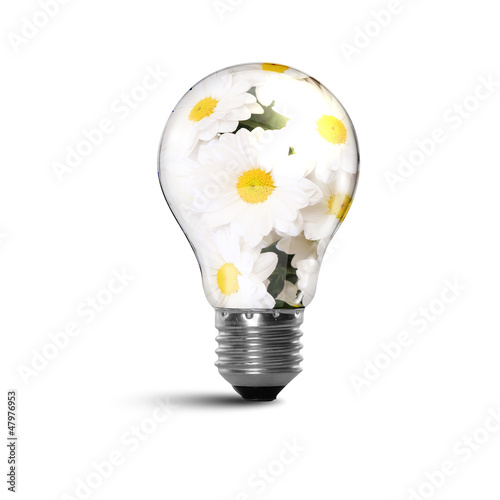 Photo: Ecology bulb light Ecology bulb light