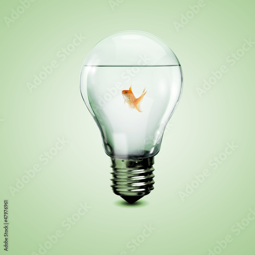 Photo: Gold fish inside an electric bulb Gold fish inside an electric bulb