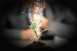 money sprouting
