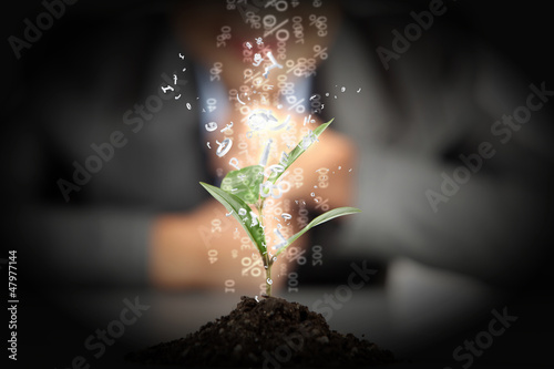 Photo: money sprouting money sprouting