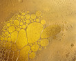 Photo: Paint cells.... Paint cells....