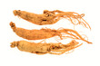 Foto: Preserved Ginseng Roots Preserved Ginseng Roots