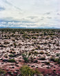 Desert Storm