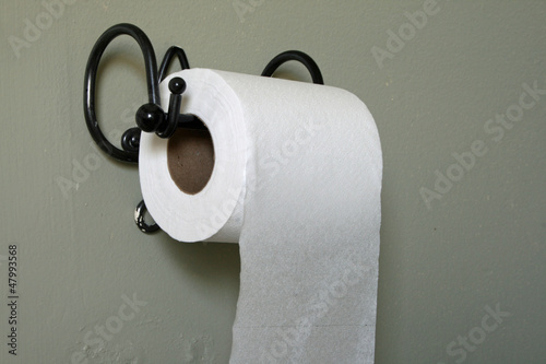 Photo: Toilet Paper Toilet Paper