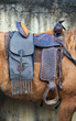Photo: silla de montar silla de montar