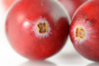 Cranberries