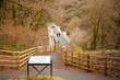 walkham viaduct, National Cycle Network