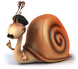 French snail