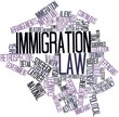 Word cloud for Immigration law